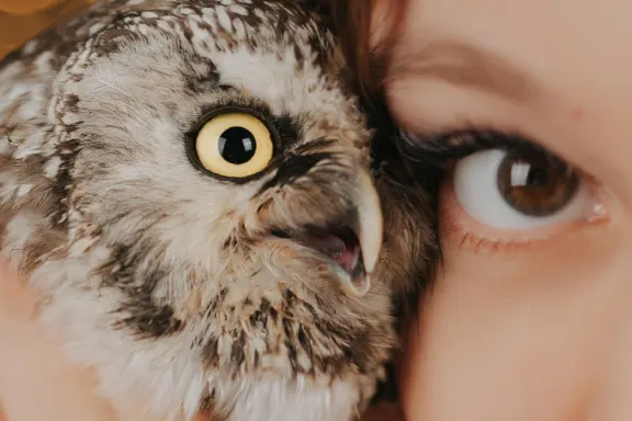 Casino AllStar Slots Tugi